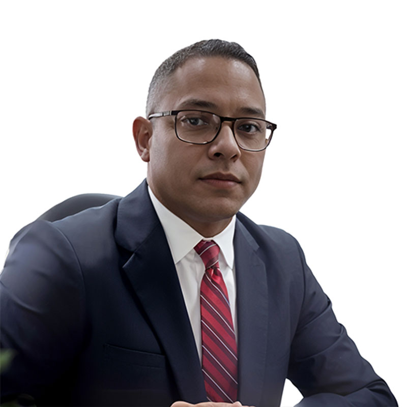 Vidal Ortega